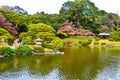 Japan historic red maple and bonsai park Royalty Free Stock Photo